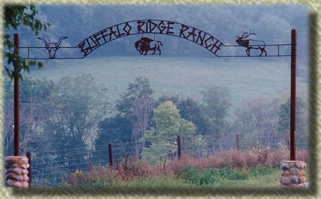 Buffalo Ridge Ranch Entry
