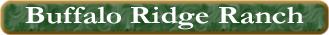 Buffalo Ridge Ranch